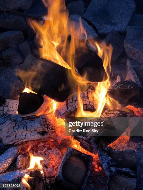 Cinders 37,374 Cinders And Ashes Stock Photos, High-Res Pictures, and Images ...