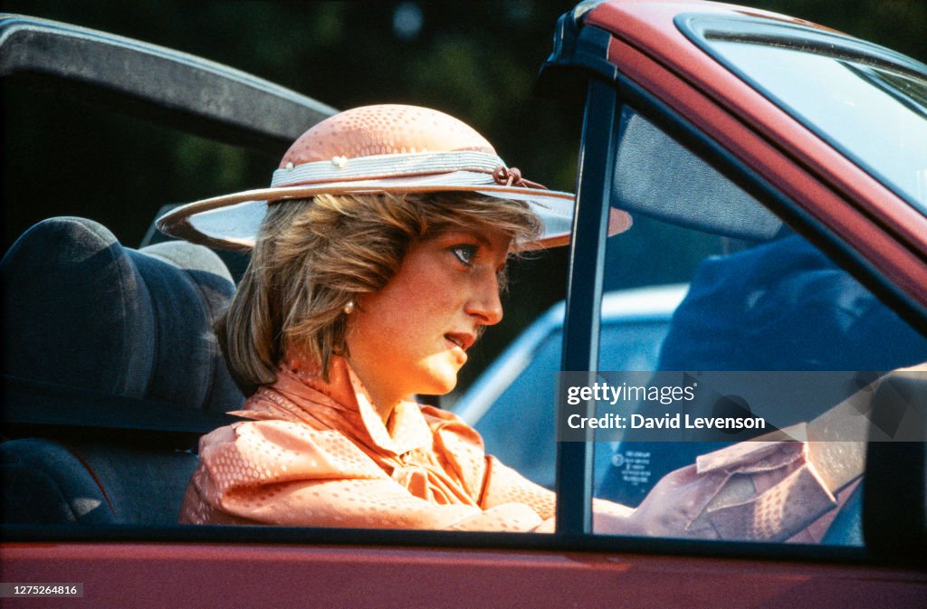 David Levenson Diana Archive