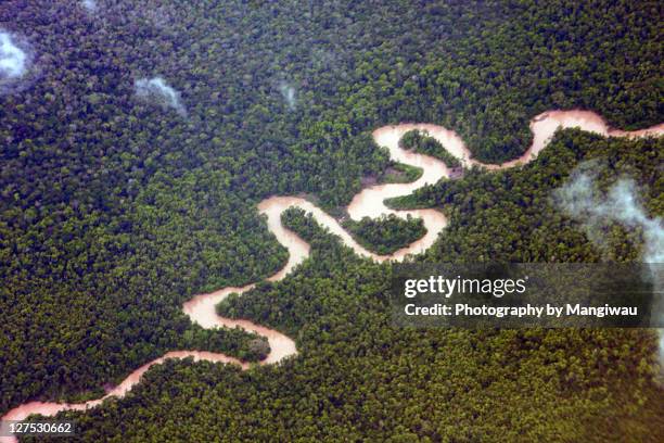 jungle river - aerial rainforest stock pictures, royalty-free photos & images