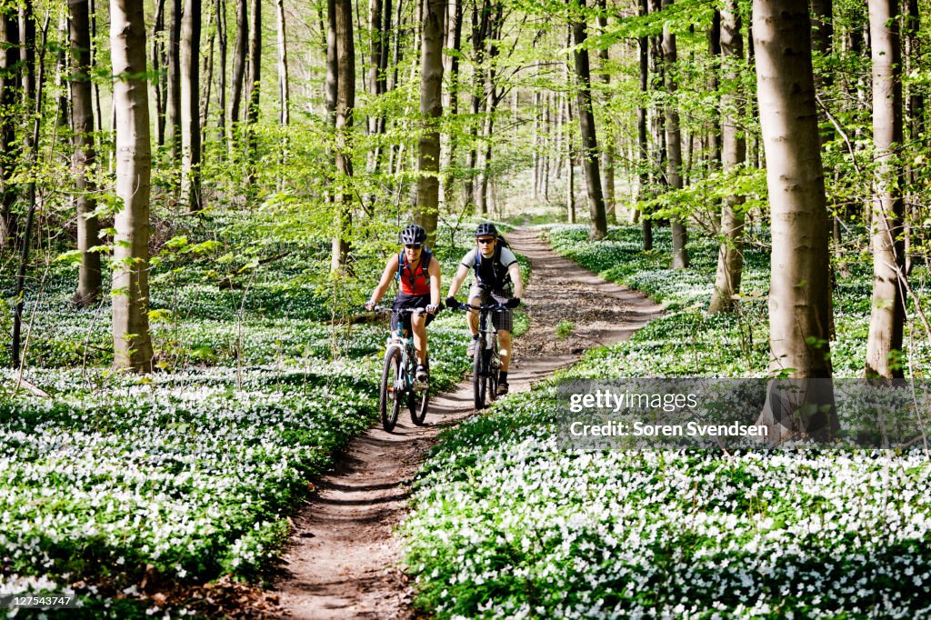 Couple mountain biking together