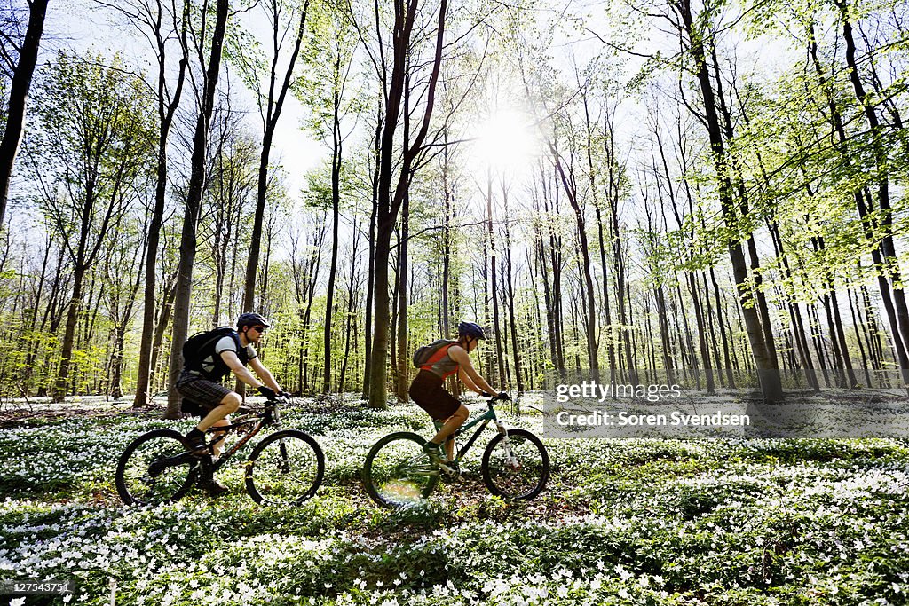 Couple mountain biking together