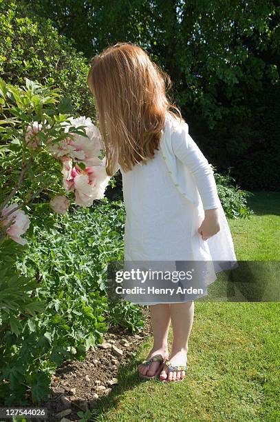 girl smelling flowers in backyard - ginger bush stock pictures, royalty-free photos & images