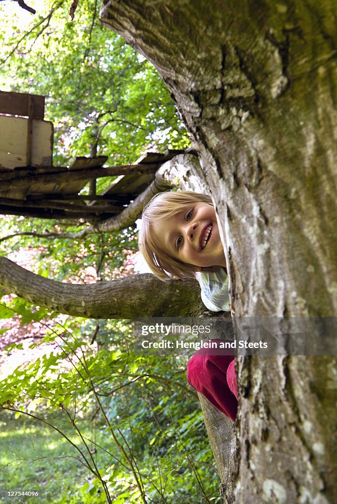 Boy climbing in tree house