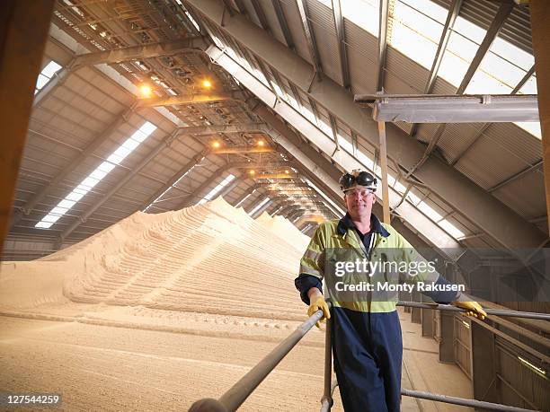 worker at gypsum facility - biomasse stock-fotos und bilder