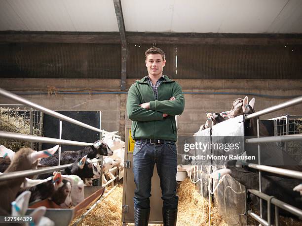 worker with kid goats on goat farm - young farmer stock pictures, royalty-free photos & images