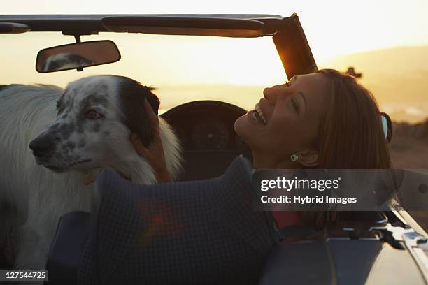 woman laughing with dog in convertible - hermanus stock pictures, royalty-free photos & images