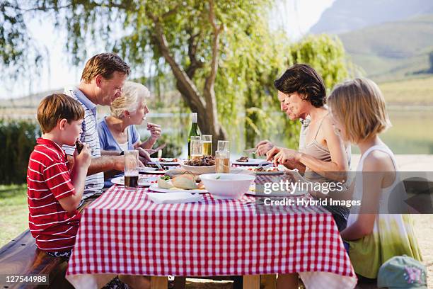 multi generation family having a picnic - picnic table stock pictures, royalty-free photos & images