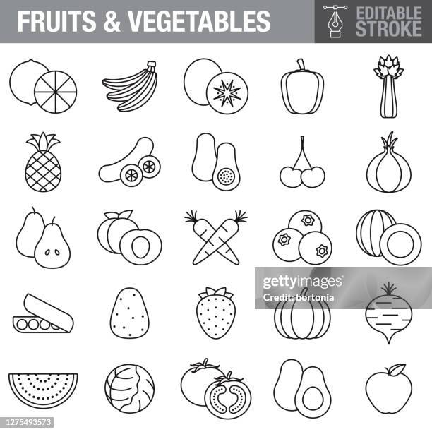 bildbanksillustrationer, clip art samt tecknat material och ikoner med frukt & grönsaker redigerbar stroke ikonuppsättning - celery