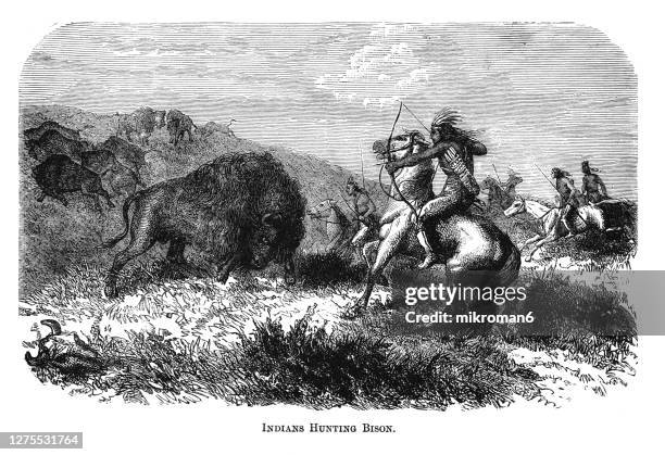 old engraved illustration of indian bison hunting - indian bison stock pictures, royalty-free photos & images