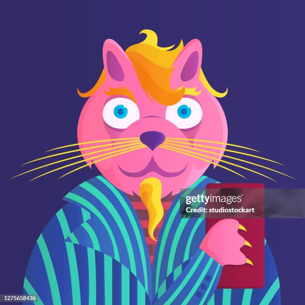 cat taking selfie - portrait colourful background stock illustrations