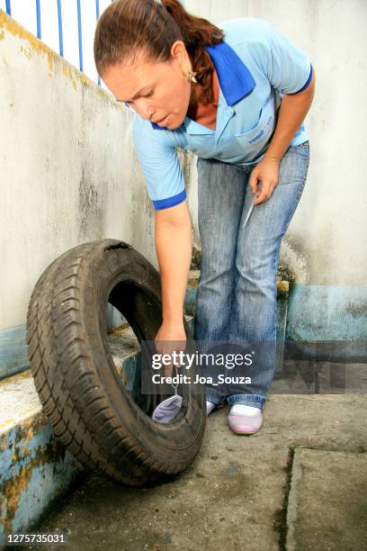 lucha contra el mosquito aedes aegypt - agua estancada fotografías e imágenes de stock