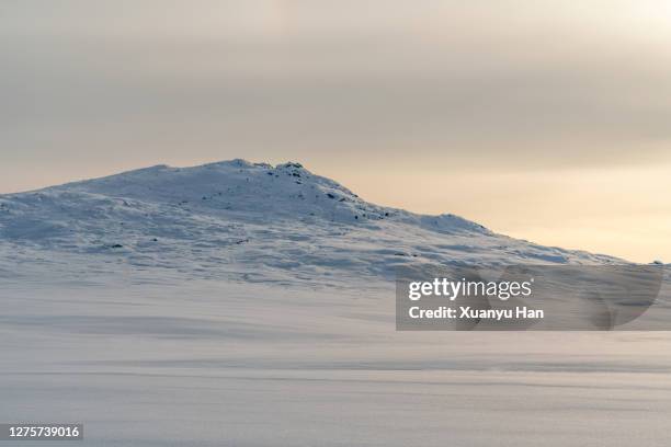 winter snow landscape at sunrise - paysage enchanteur photos et images de collection