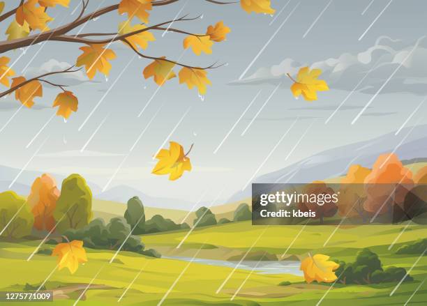 rainy autumn landscape - windy rainy weather stock illustrations