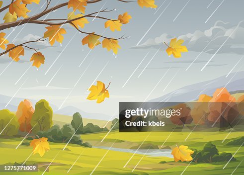 雨秋景觀。 雨秋景觀。