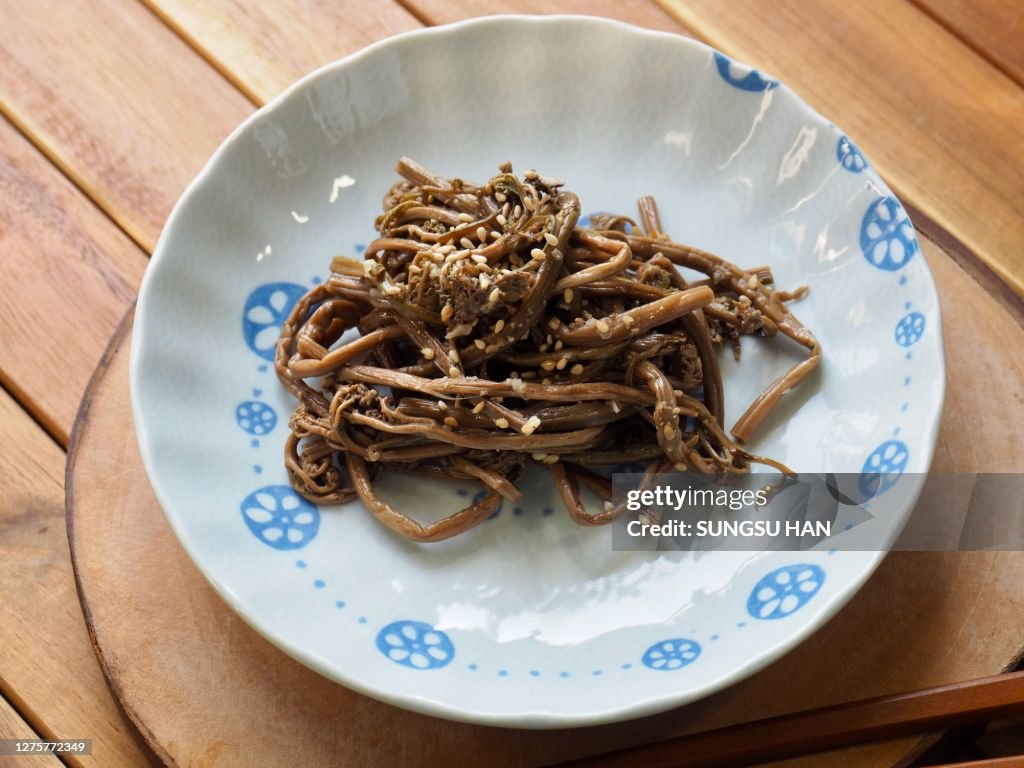 Comida tradicional coreana bracken, prato lateral