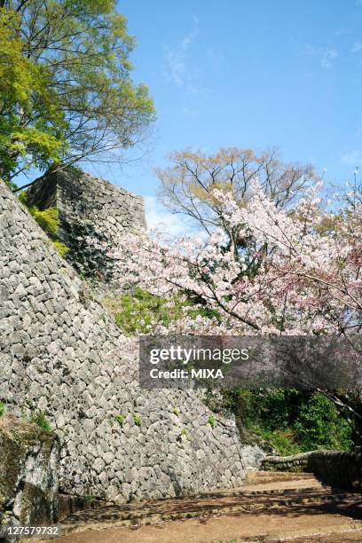 Oka Castle Photos and Premium High Res Pictures Getty Images
