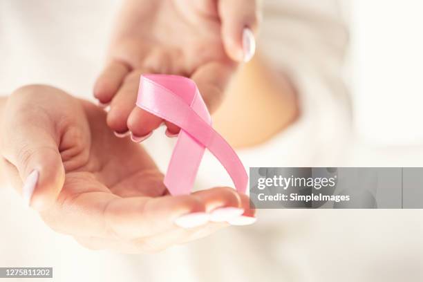 breast cancer symbol pink ribbon in tender female hands. october health and medicine concept. - krebsschleife stock-fotos und bilder