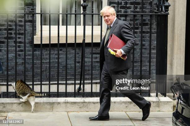 Larry the 10 Downing Street cat squeezes through railings as Britain's Prime Minister Boris Johnson leaves number 10 Downing Street as he heads to...