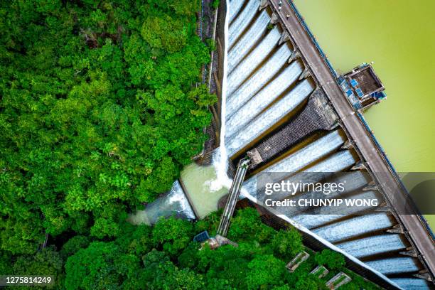 aftappend water uit het kowloon reservoir in kam shan country park - china infrastructure stockfoto's en -beelden