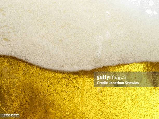 close up frothy beer head - beer white background stock-fotos und bilder