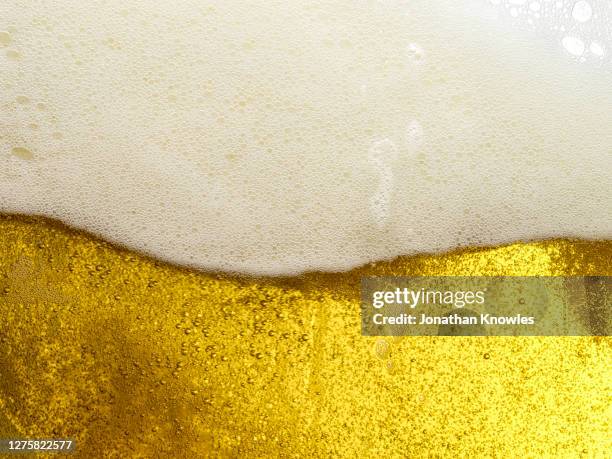 close up frothy beer head - beer white background stock pictures, royalty-free photos & images