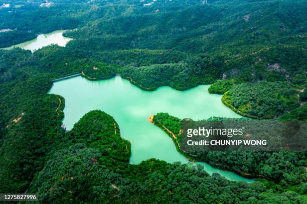 drone view of kowloon reservoir, kam shan country park, hong kong - china reservoir stock pictures, royalty-free photos & images