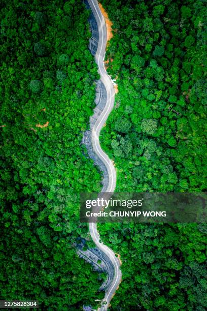 aerial toppvy över landsväg i grön sommarskog. lantligt landskap i hong kong - jungle tree bildbanksfoton och bilder