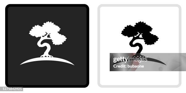 bonsai tree icon on  black button with white rollover - bonsai tree stock illustrations