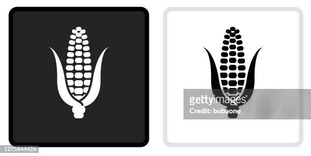63 White Corn High Res Illustrations - Getty Images