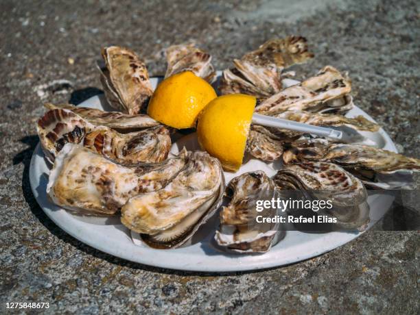 oysters with lemon - cancale bildbanksfoton och bilder