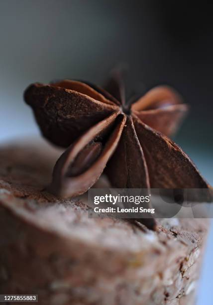 food photography of spice star anise closeup macro - star anise stock pictures, royalty-free photos & images