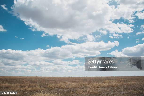 wide open prairie and sky - field blue sky fotografías e imágenes de stock