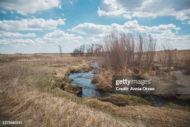 creek in a prairie - sioux falls stock pictures, royalty-free photos & images