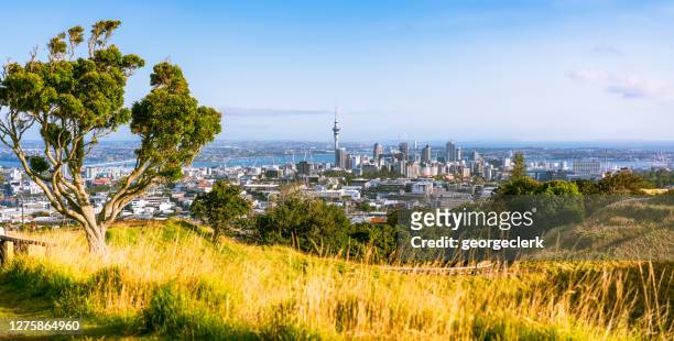 auckland scenic - auckland stock pictures, royalty-free photos & images