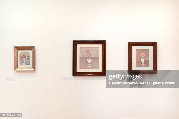 Italian artist Giorgio Morandi "il Fascino Sefreto dei Fiori" exhibirion preview at Museo Morandi on September 23, 2020 in Bologna, Italy.