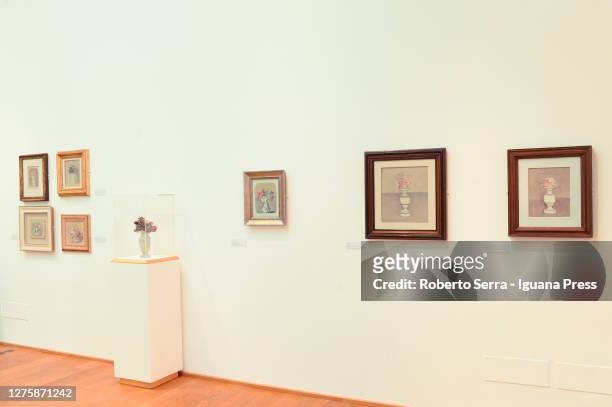 Italian artist Giorgio Morandi "il Fascino Sefreto dei Fiori" exhibirion preview at Museo Morandi on September 23, 2020 in Bologna, Italy.