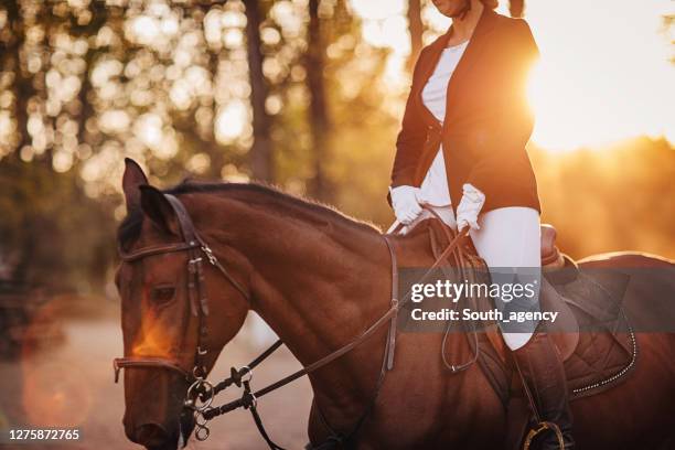 kvinnlig jockey som rider på en häst i utomhus ridarena - hinderlopp hästkapplöpning bildbanksfoton och bilder