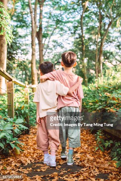 rear view of little brothers walking arm in arm down a wooden path in country side - arm in arm stock pictures, royalty-free photos & images