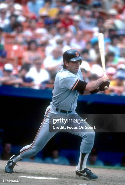 Jack Runk Baseball Jack Clark Baseball Photos and Premium High Res Pictures - Getty Images