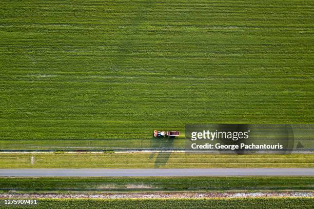 top down aerial view of tractor harvesting crops - wiese von oben stock-fotos und bilder