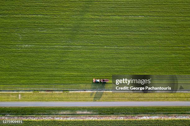 top down aerial view of tractor harvesting crops - flevoland stock pictures, royalty-free photos & images