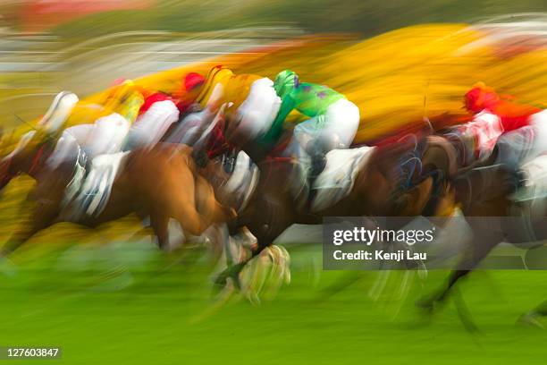 horse racing - horse racing stock-fotos und bilder