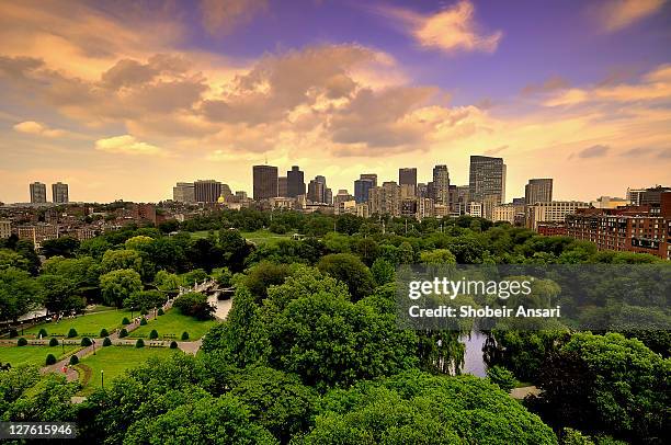 boston skyline at sunrise - boston public garden stock pictures, royalty-free photos & images