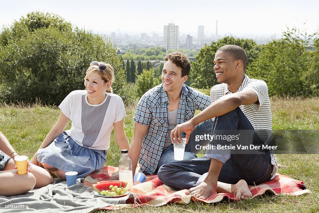 Group of friends having picnic in park.