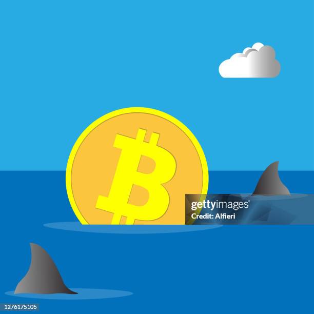 sharks around bitcoin - uncertainty forecasting stock illustrations