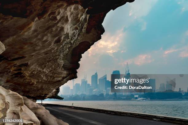 der fußweg des royal botanic garden sydney in der dämmerung im smog von verschiedenen buschbränden in sydney harbor, sydney, australien - royal botanic gardens sydney stock-fotos und bilder