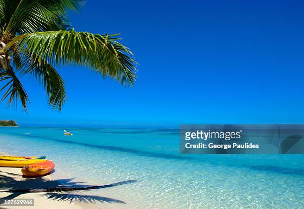 paradise - fiji stock pictures, royalty-free photos & images