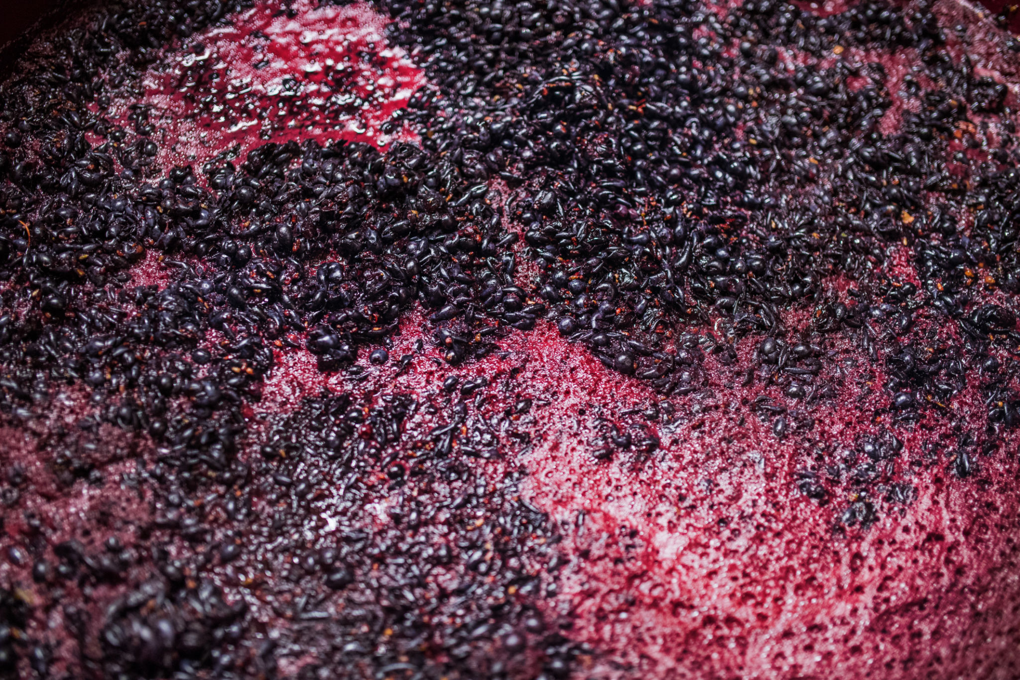 grape fermentation