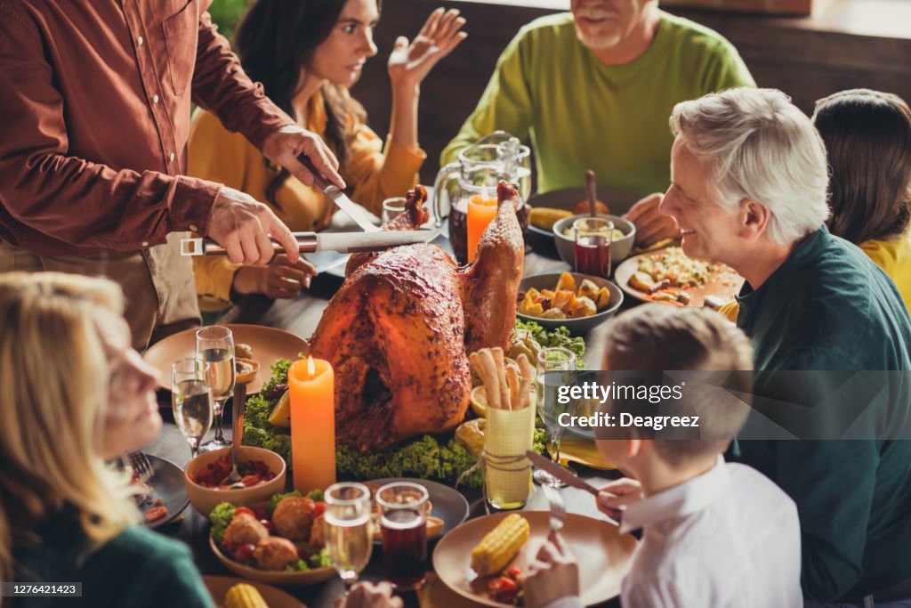 Cropped photo of family meeting served table thanks giving dinner two knives slicing stuffed turkey meal living room indoors