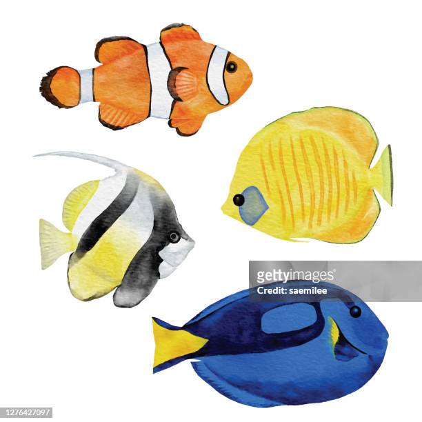 watercolor tropical fishes - tropical fish stock illustrations